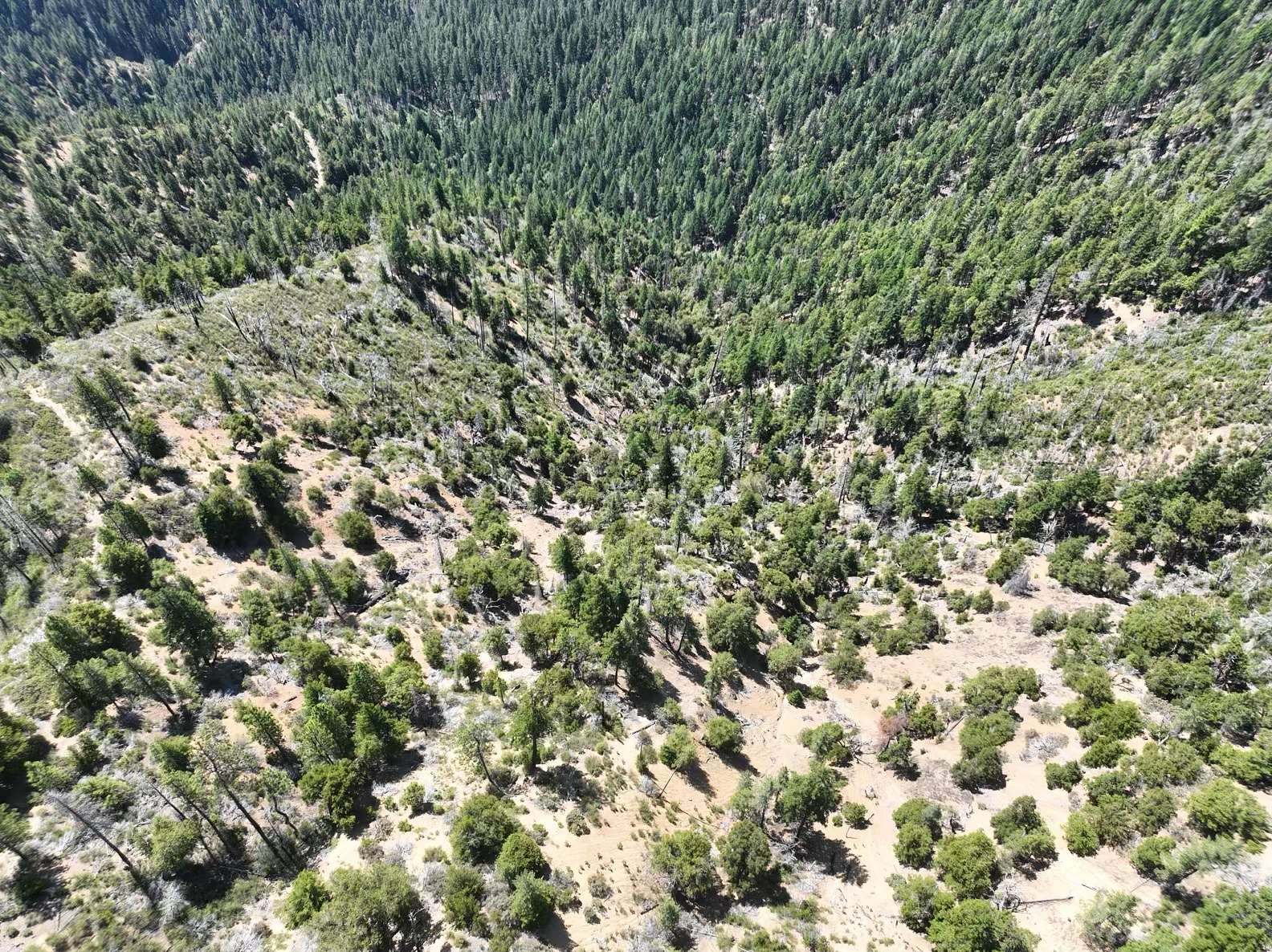 160 Acres of Recreational Land for Sale in Hyampom, California