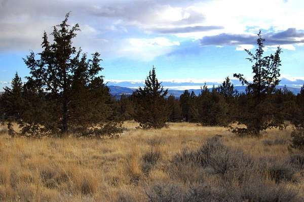 5 Acres of Land for Sale in Prineville, Oregon