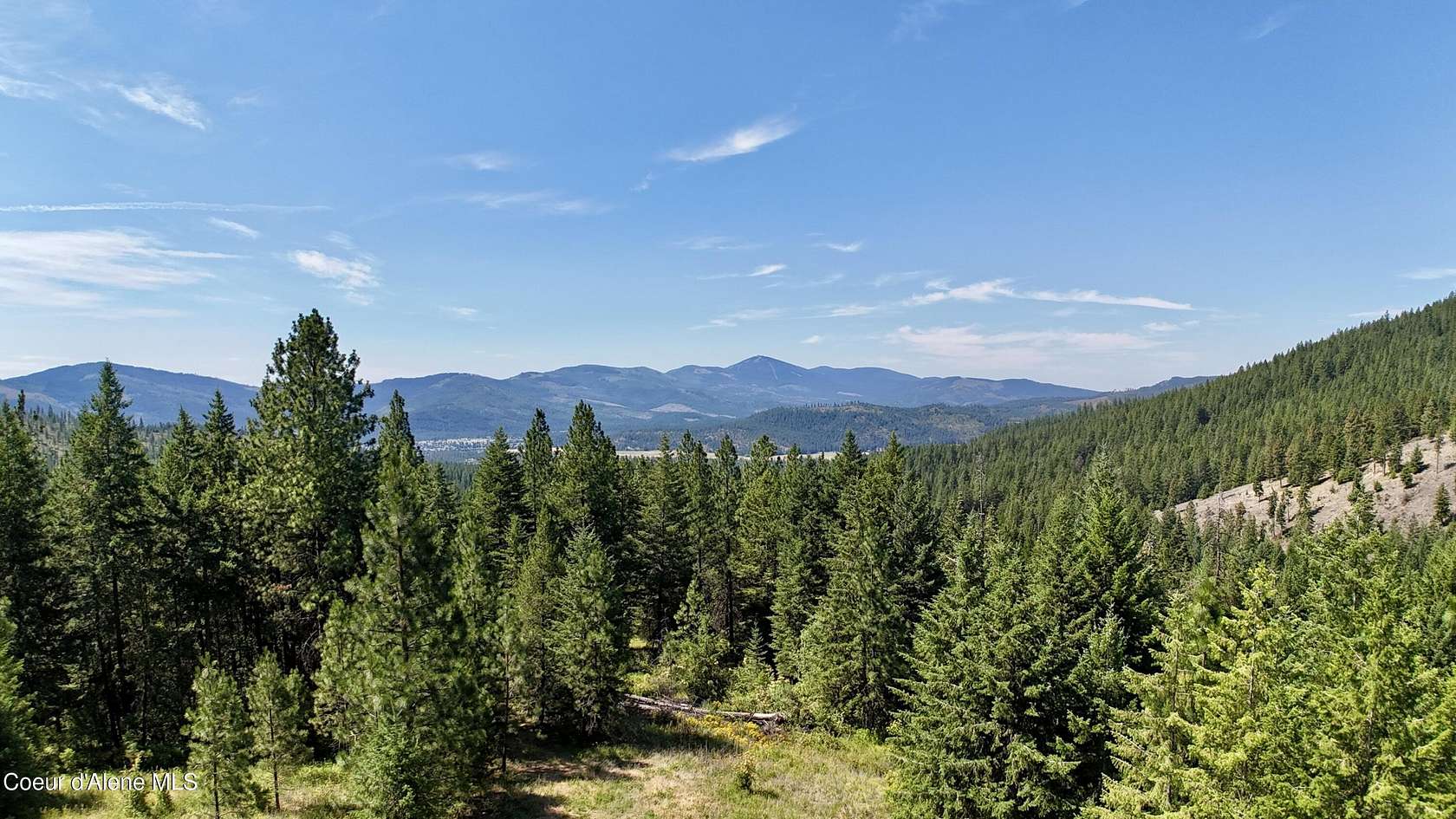 20 Acres of Recreational Land for Sale in Blanchard, Idaho