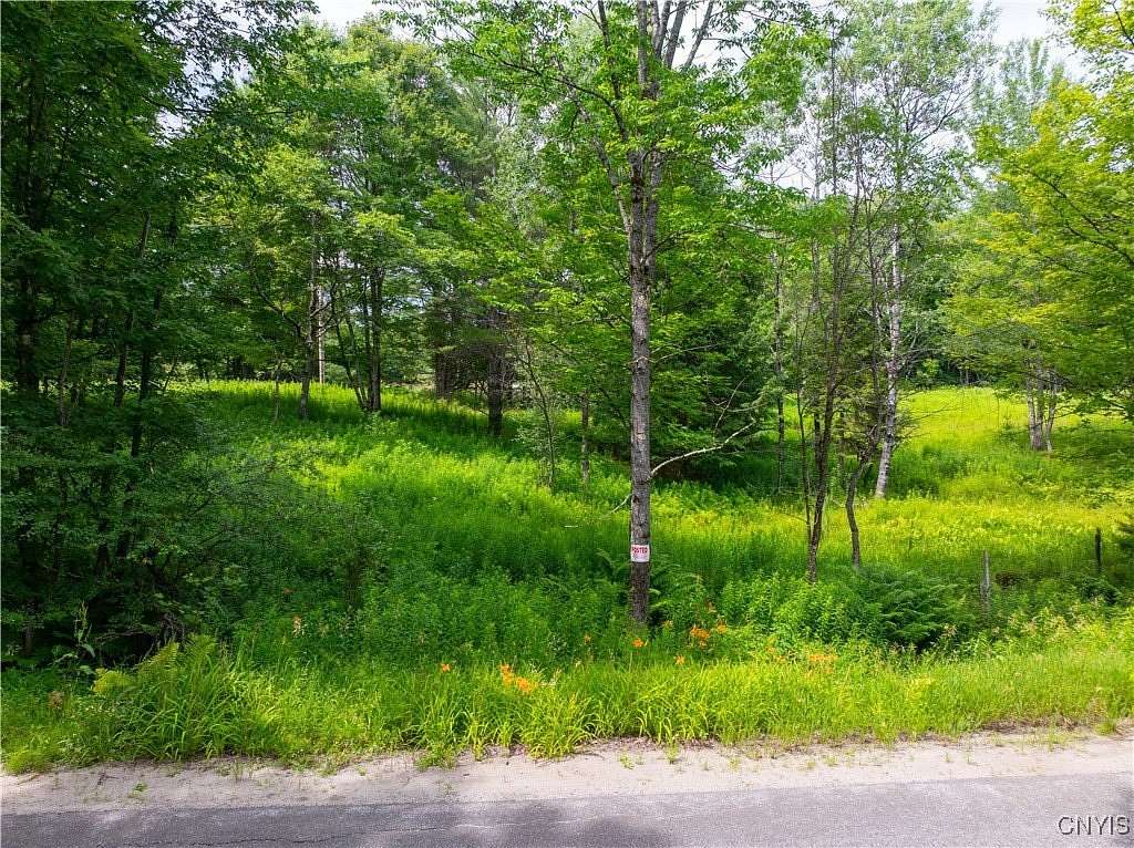 42.6 Acres of Recreational Land for Sale in Stratford, New York