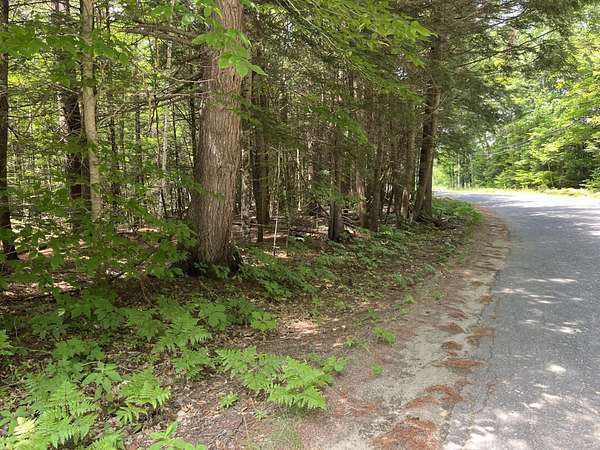 12.6 Acres of Land for Sale in Jay, Maine