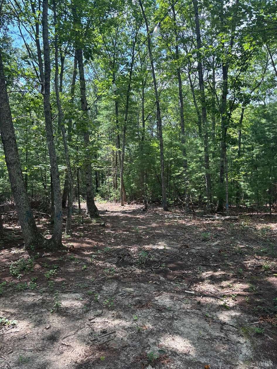 27.5 Acres of Recreational & Residential Land for Sale in Monroe, Virginia