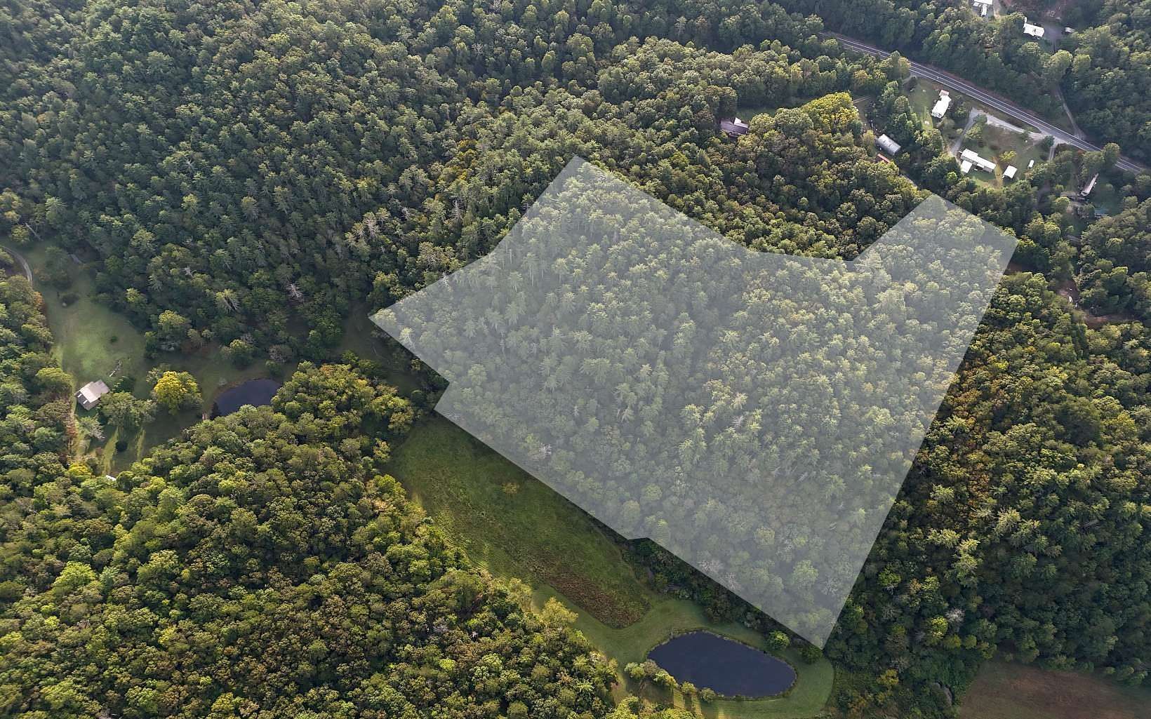 18.8 Acres of Land for Sale in Mineral Bluff, Georgia