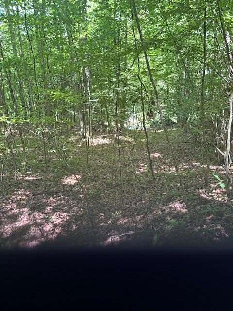 1.1 Acres of Land for Sale in Franklin, North Carolina