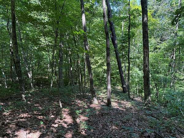6.4 Acres of Residential Land for Sale in Monterey, Tennessee