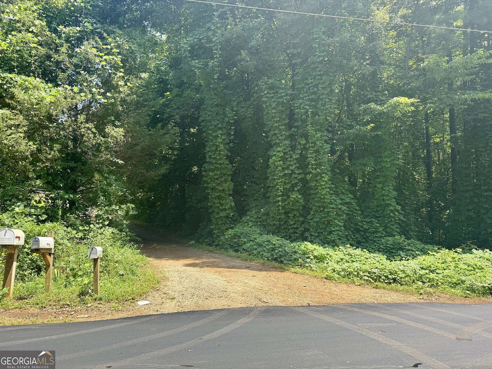 1.3 Acres of Land for Sale in Braselton, Georgia