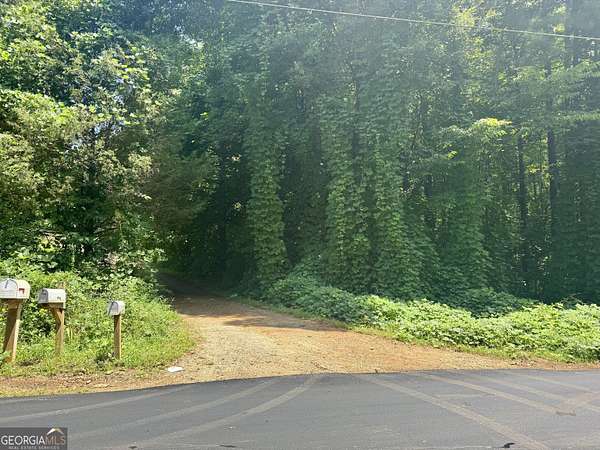 1.3 Acres of Land for Sale in Braselton, Georgia