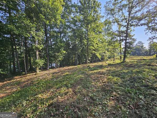 0.38 Acres of Residential Land for Sale in Toccoa, Georgia