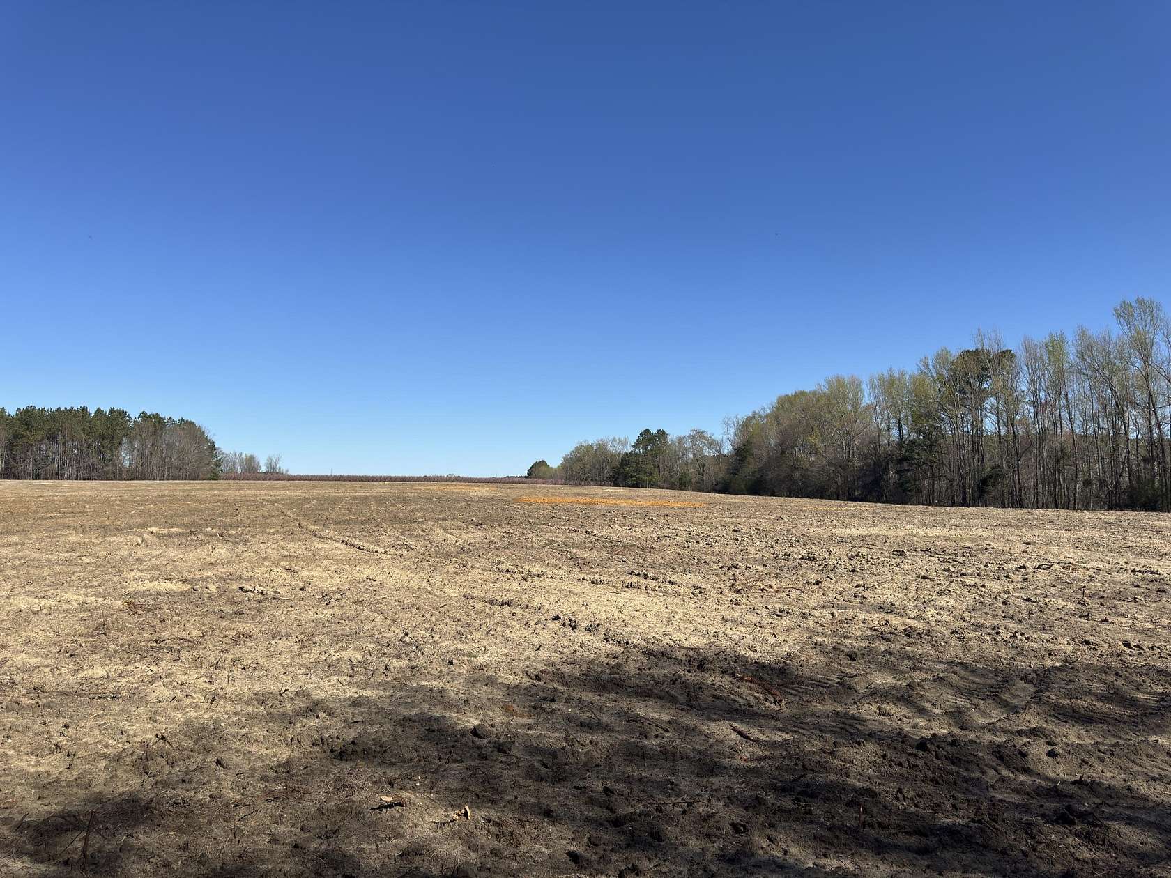 50 Acres of Land for Sale in Ward, South Carolina