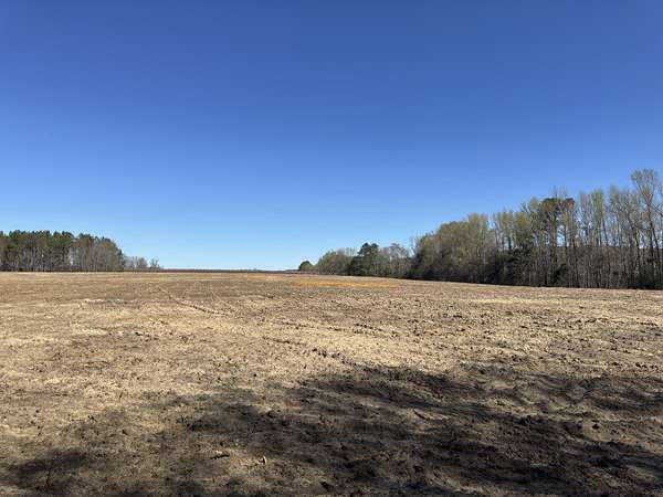 50 Acres of Land for Sale in Ward, South Carolina