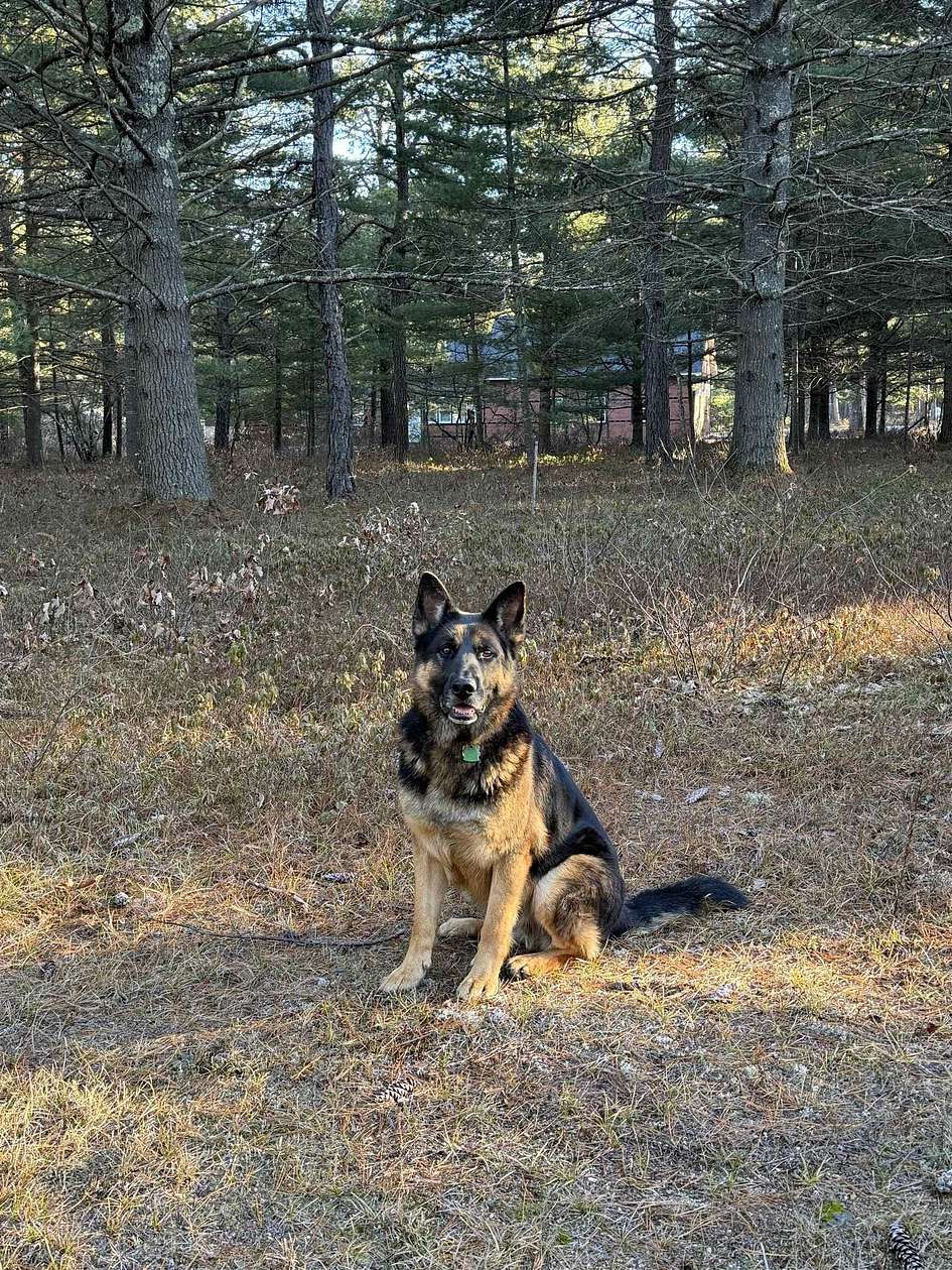 1 Acre of Residential Land for Sale in Ossipee, New Hampshire