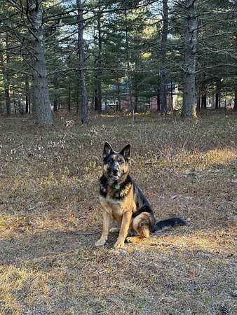 1 Acre of Residential Land for Sale in Ossipee, New Hampshire