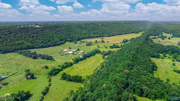 78 Acres of Agricultural Land with Home for Sale in Collinsville, Alabama