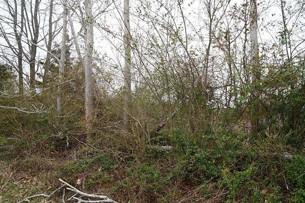 Residential Land for Sale in Nathalie, Virginia