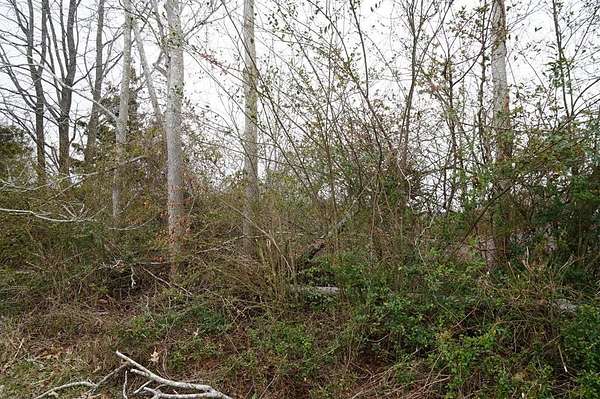 Residential Land for Sale in Nathalie, Virginia