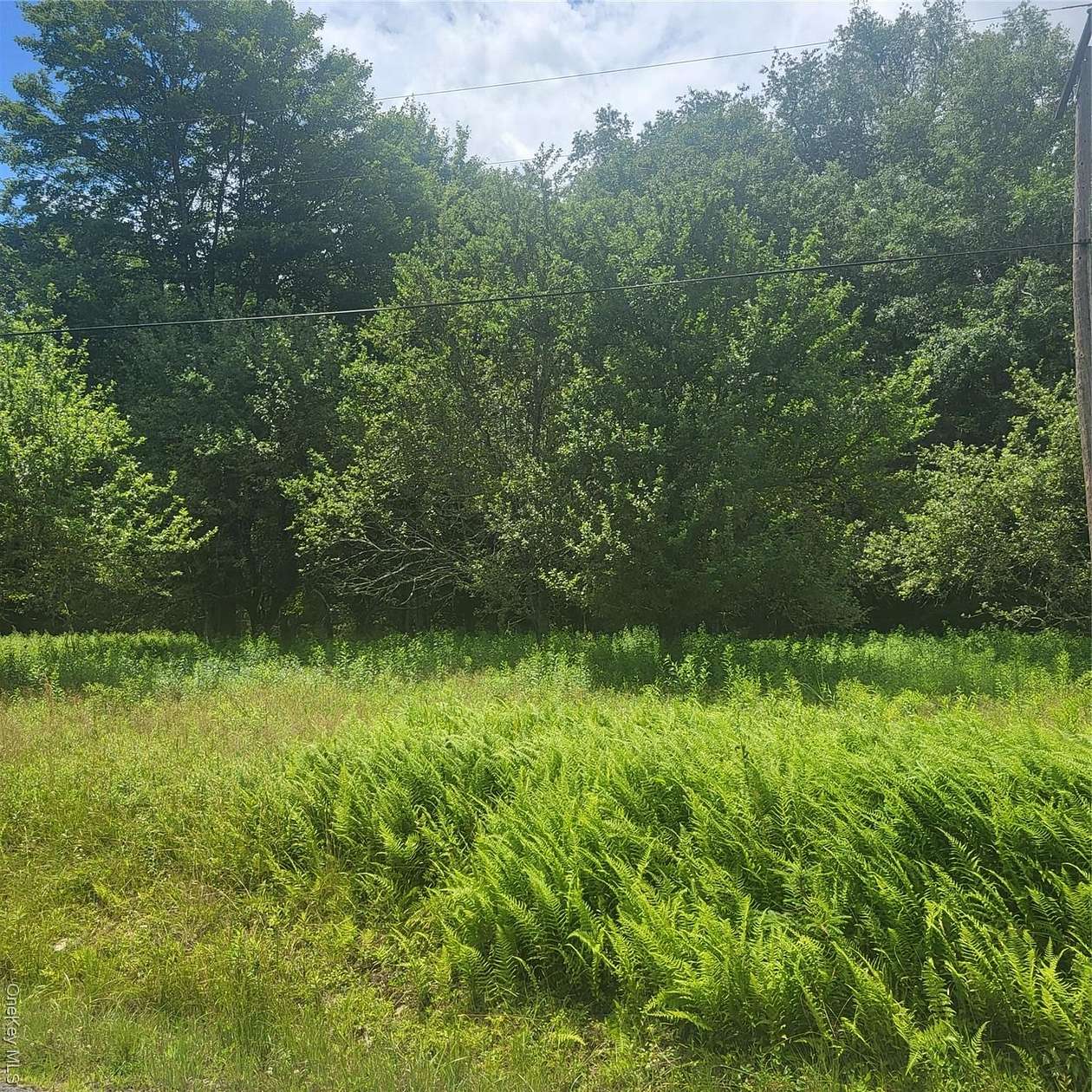2 Acres of Residential Land for Sale in Mongaup Valley, New York