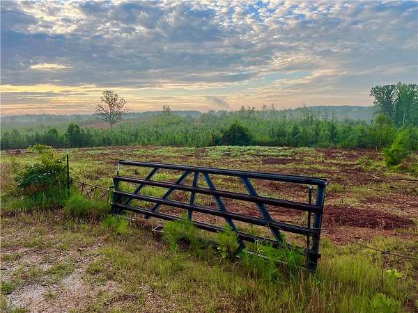 54.4 Acres of Recreational Land for Sale in Pendleton, South Carolina