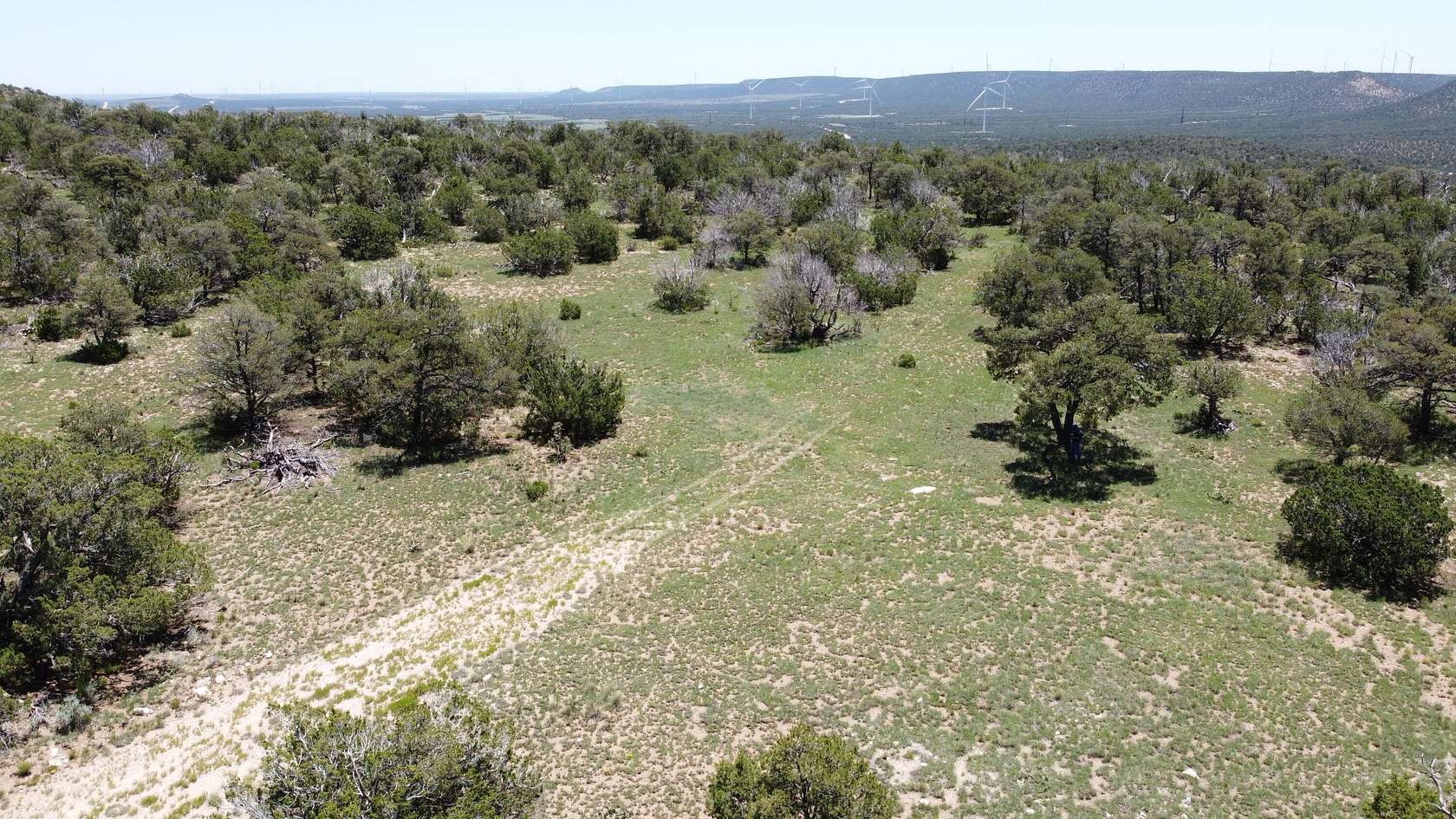 40 Acres of Recreational Land for Sale in Corona, New Mexico