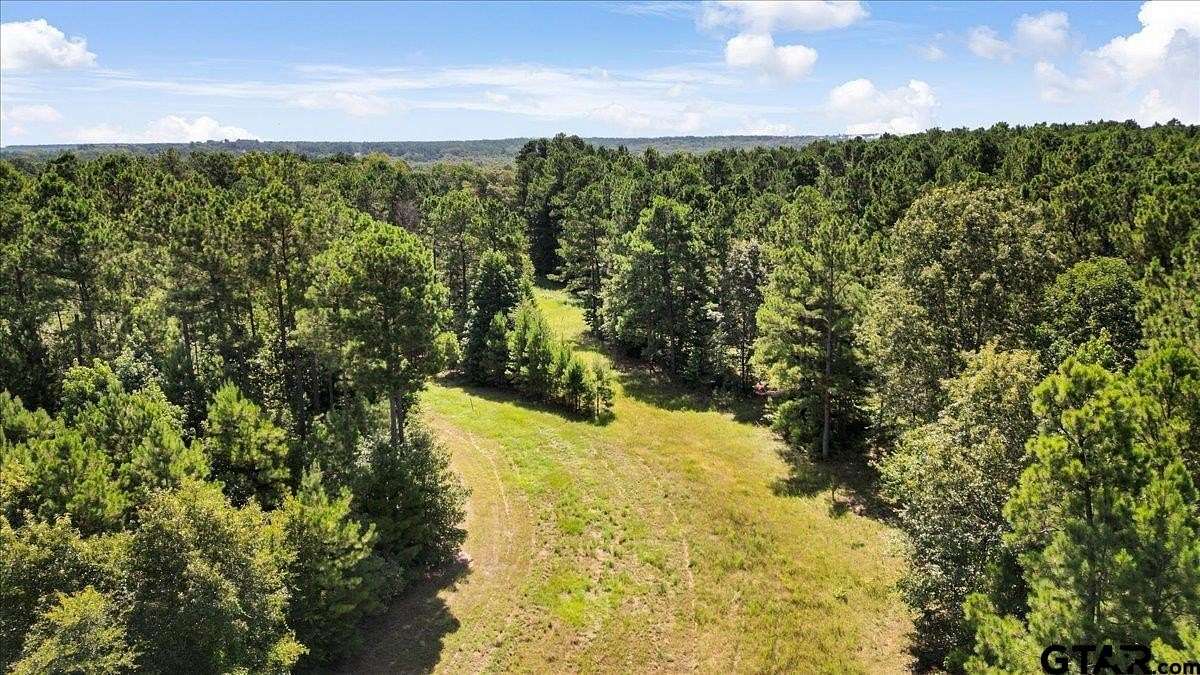 79.5 Acres of Recreational & Residential Land for Sale in Marshall, Texas