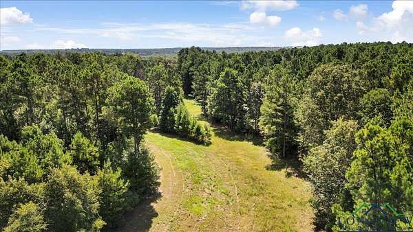 79.5 Acres of Recreational Land & Farm for Sale in Marshall, Texas