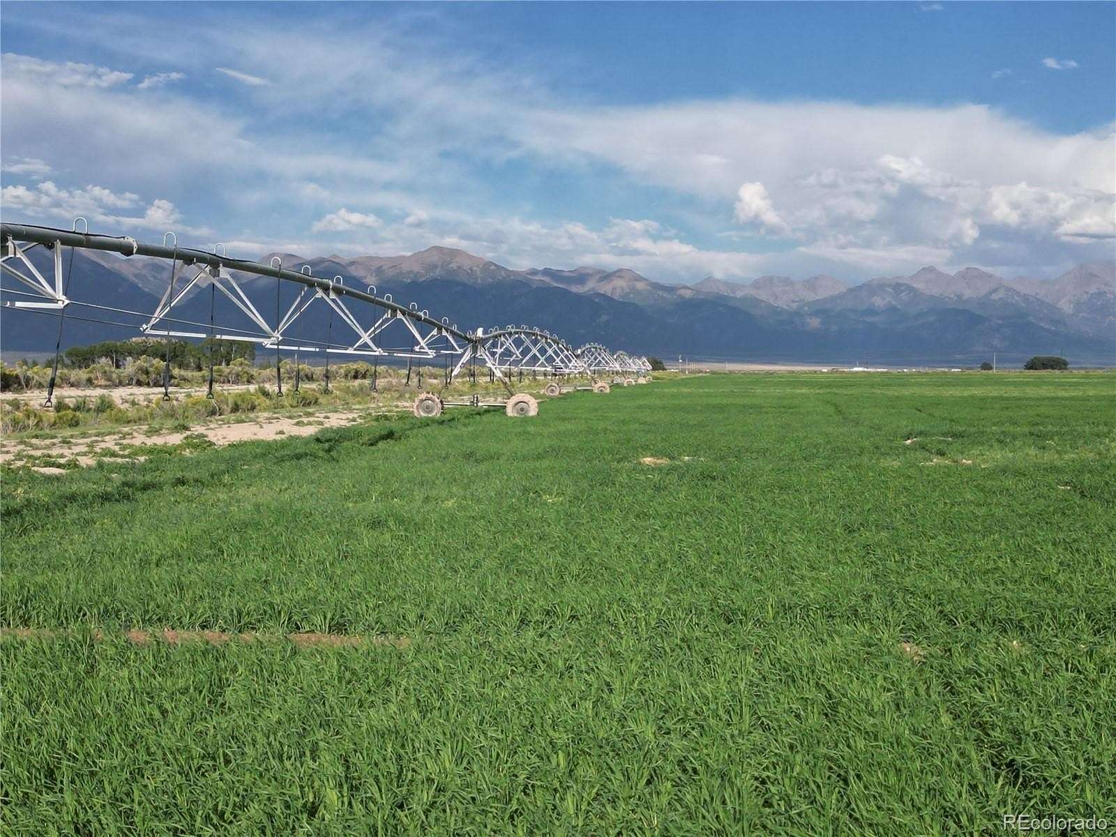 77.5 Acres of Agricultural Land for Sale in Moffat, Colorado