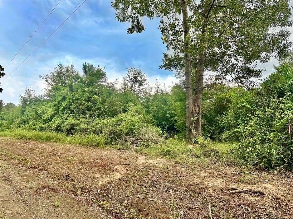 20 Acres of Land for Sale in Shelbyville, Texas