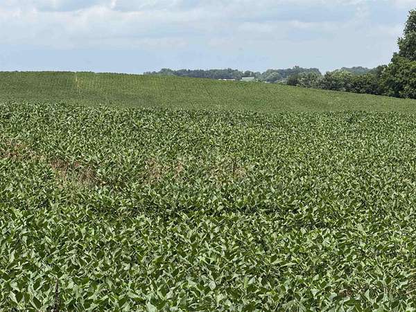 36.6 Acres of Agricultural Land for Sale in Princeton, Indiana