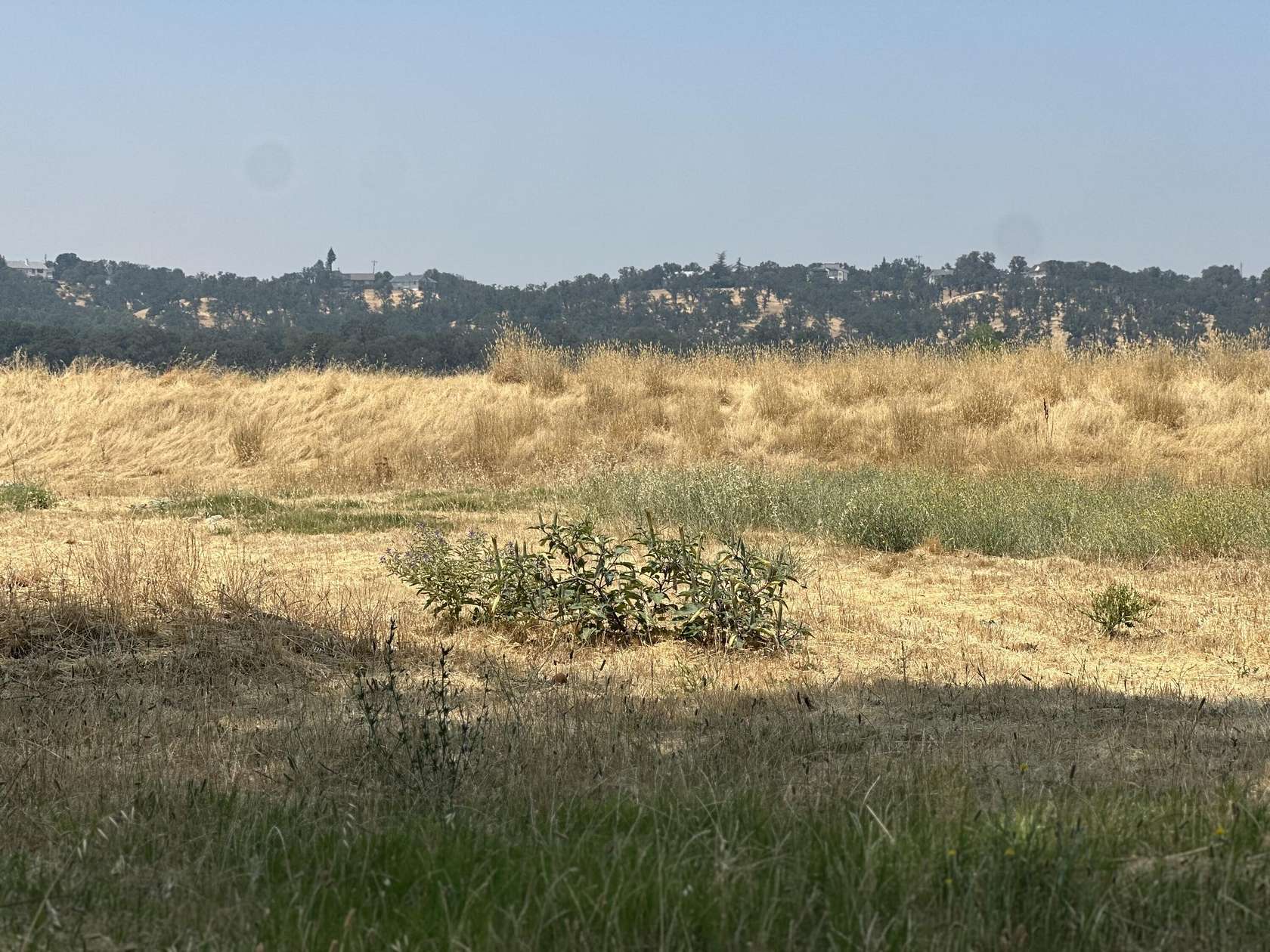 0.24 Acres of Land for Sale in Cottonwood, California