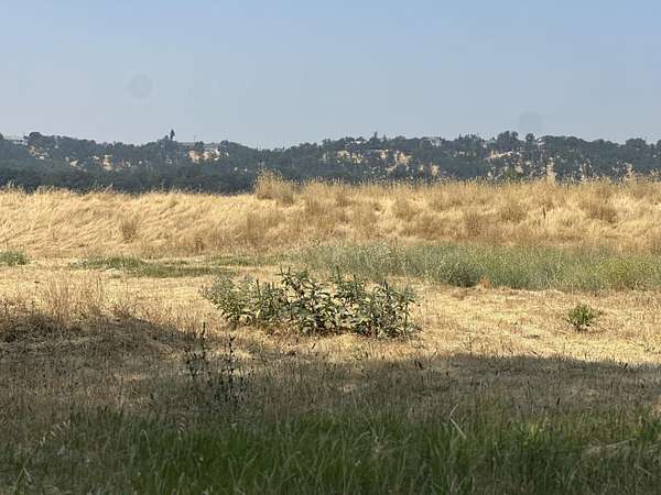 0.24 Acres of Land for Sale in Cottonwood, California