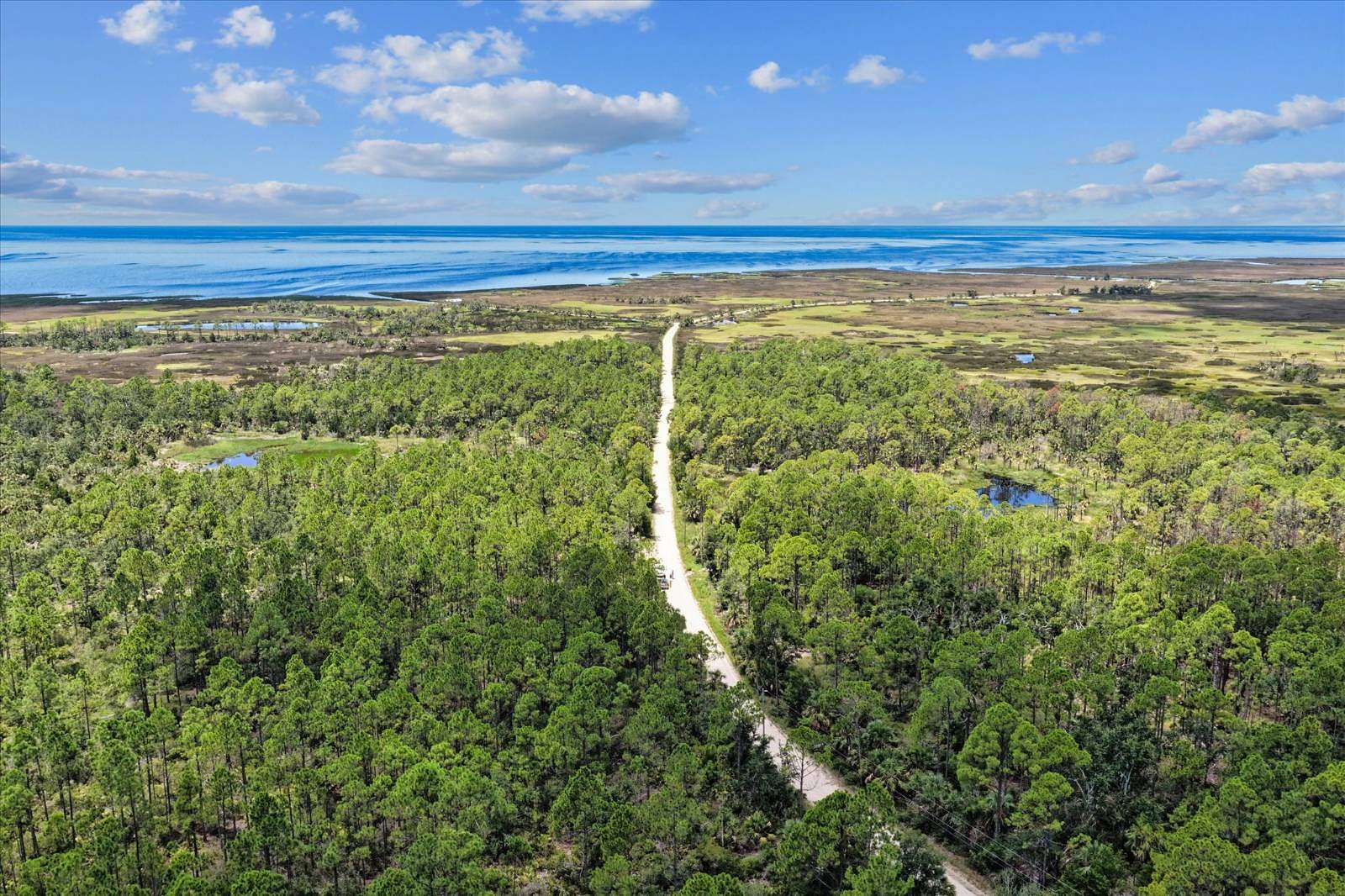 81.6 Acres of Recreational Land for Sale in Perry, Florida