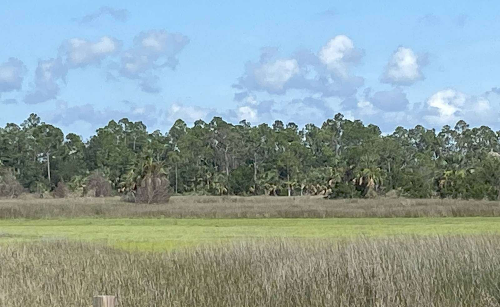 10.6 Acres of Land for Sale in Perry, Florida