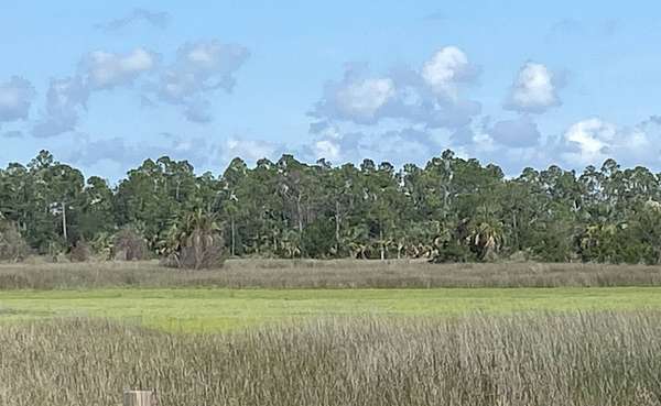 10.6 Acres of Land for Sale in Perry, Florida