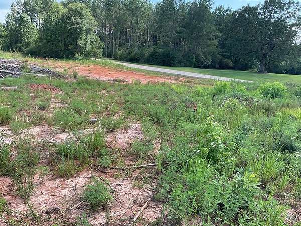 10 Acres of Land for Sale in Luverne, Alabama