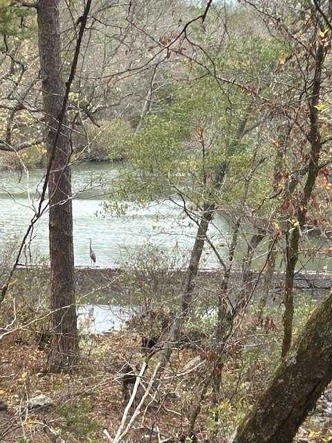 4.8 Acres of Land for Sale in Nashoba, Oklahoma