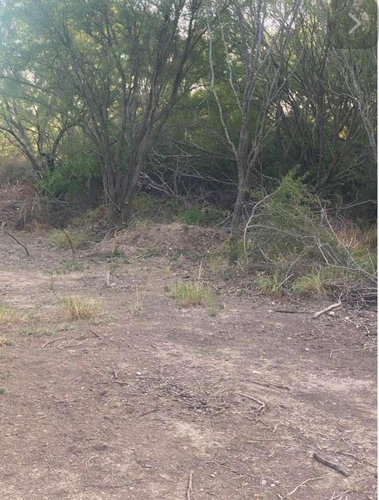 0.43 Acres of Residential Land for Sale in Eagle Pass, Texas