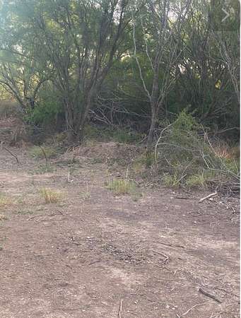 0.43 Acres of Residential Land for Sale in Eagle Pass, Texas