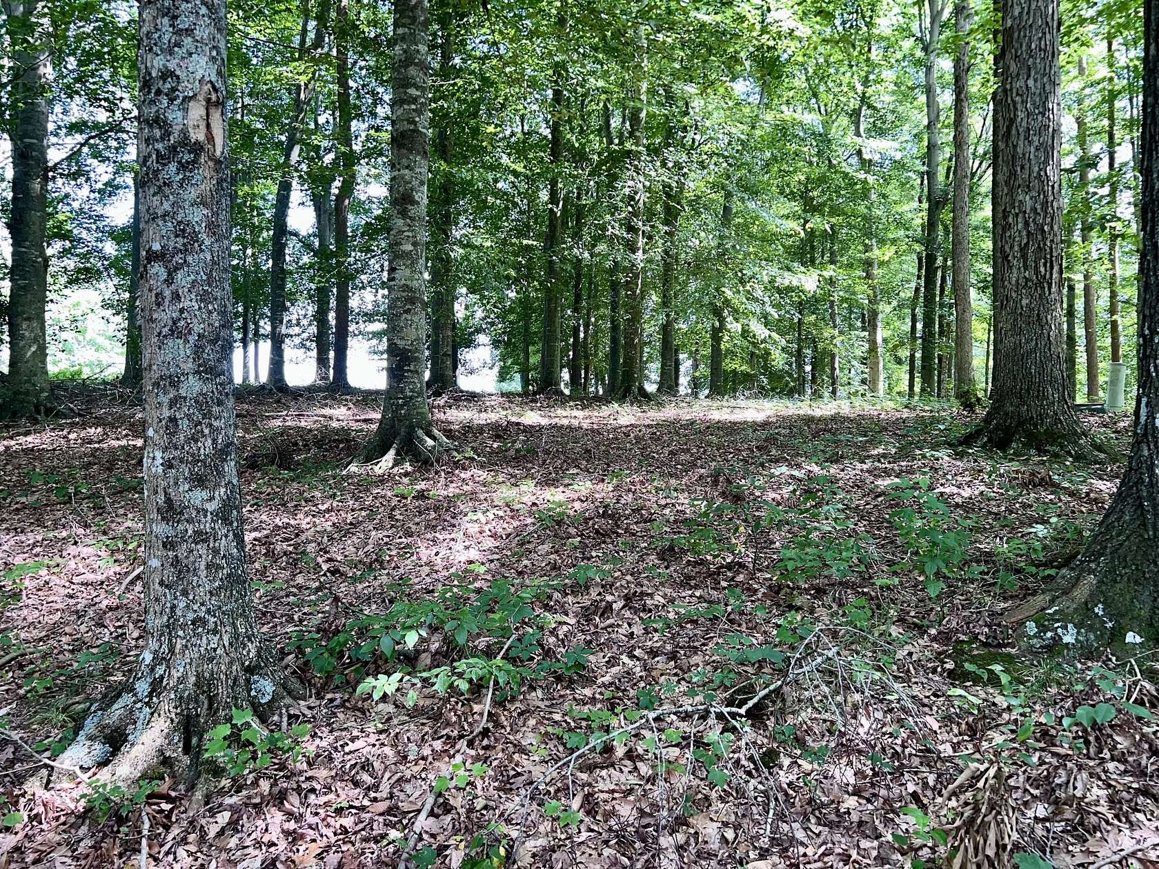 0.5 Acres of Residential Land for Sale in Nancy, Kentucky
