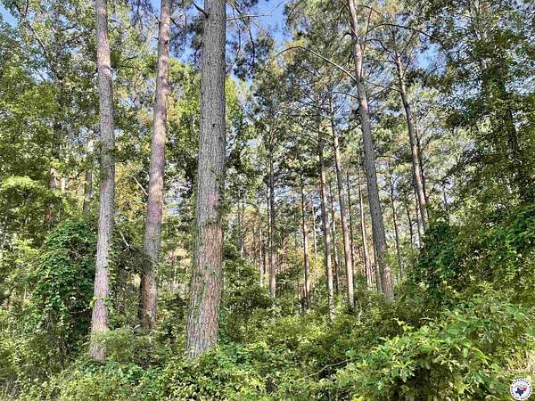 11 Acres of Land for Sale in Atlanta, Texas