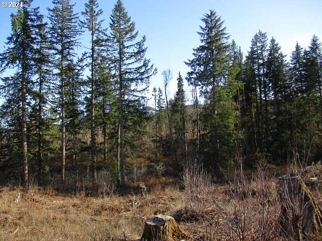 460 Acres of Recreational Land for Sale in Silverton, Oregon