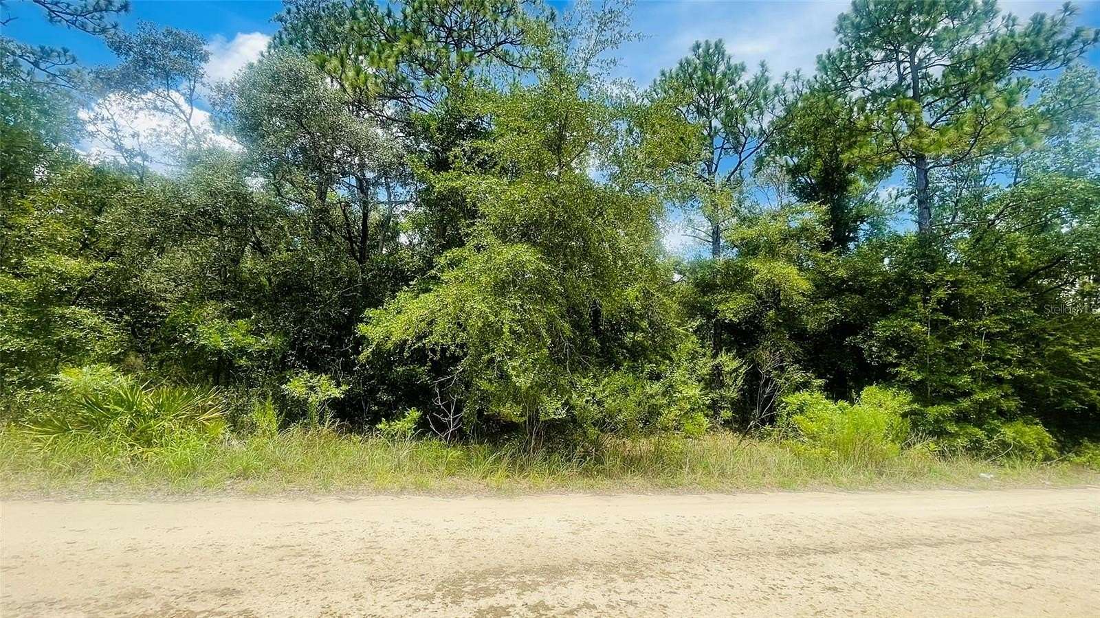 1.25 Acres of Land for Sale in Bronson, Florida
