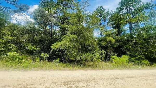 1.25 Acres of Land for Sale in Bronson, Florida