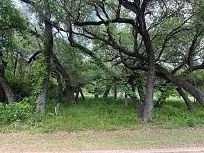 0.14 Acres of Residential Land for Sale in Whitney, Texas