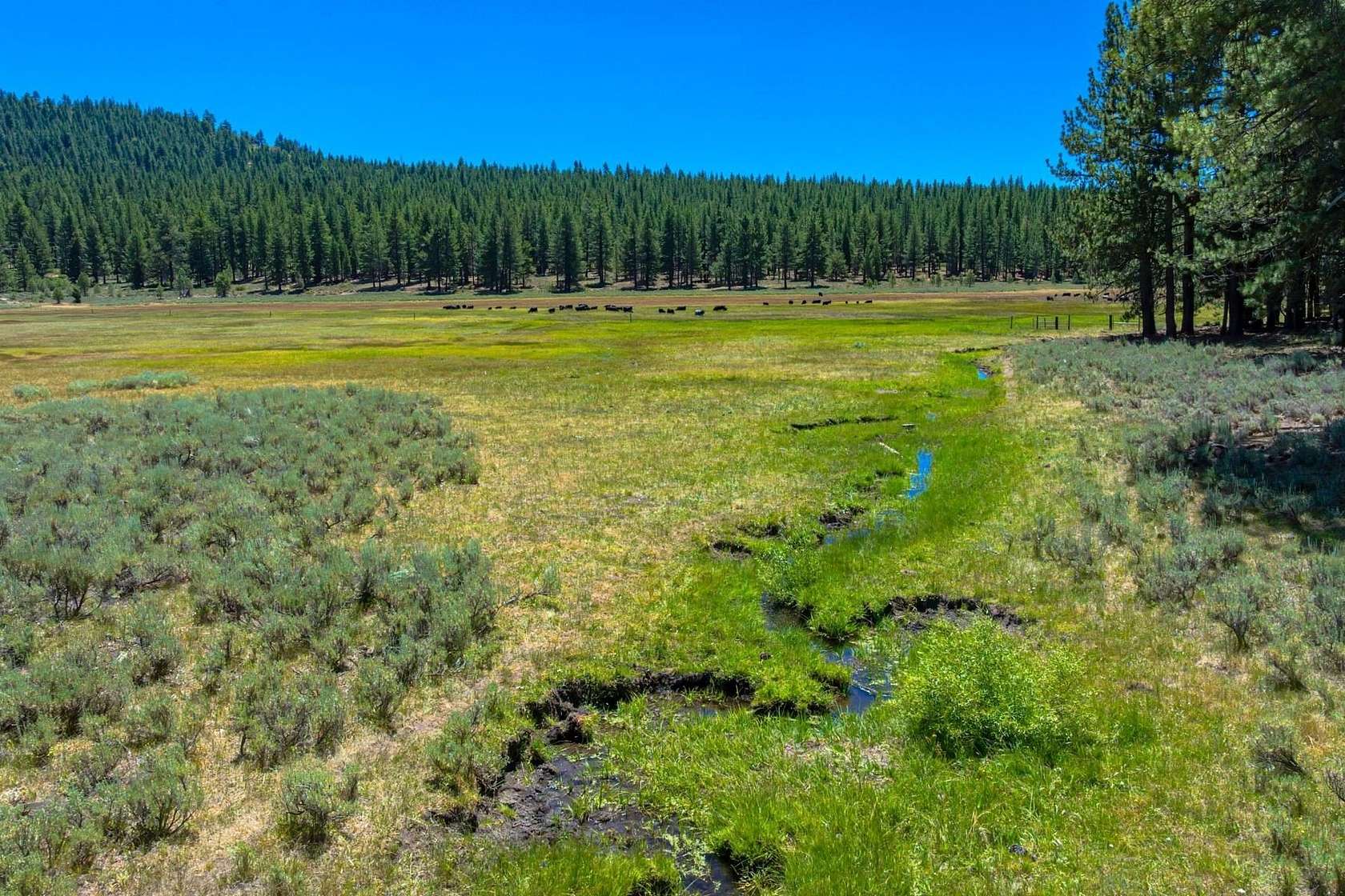 40 Acres of Land for Sale in Loyalton, California