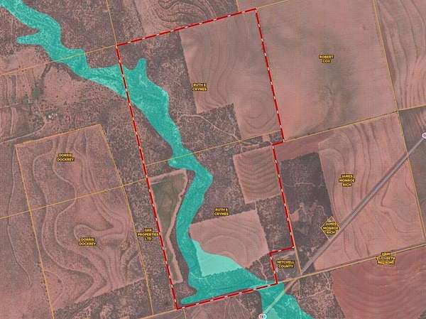 302 Acres of Agricultural Land for Sale in Colorado City, Texas