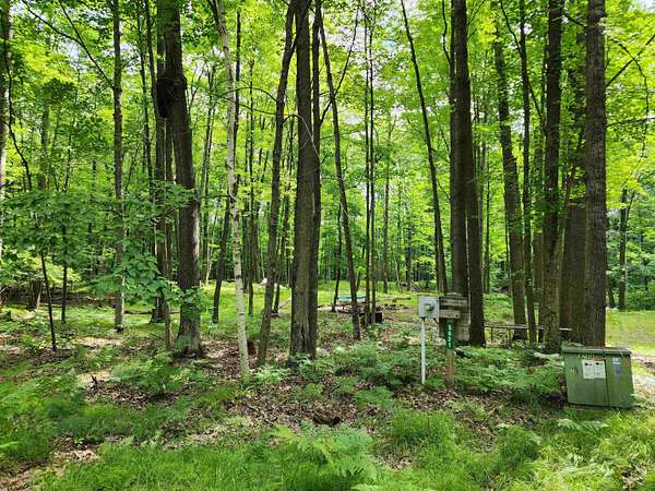 1 Acre of Residential Land for Sale in Farwell, Michigan