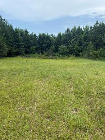 57.5 Acres of Recreational & Residential Land for Sale in Carriere, Mississippi