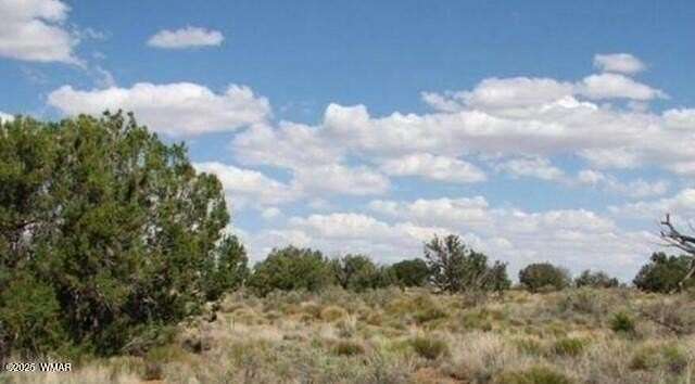41 Acres of Recreational Land for Sale in Heber, Arizona