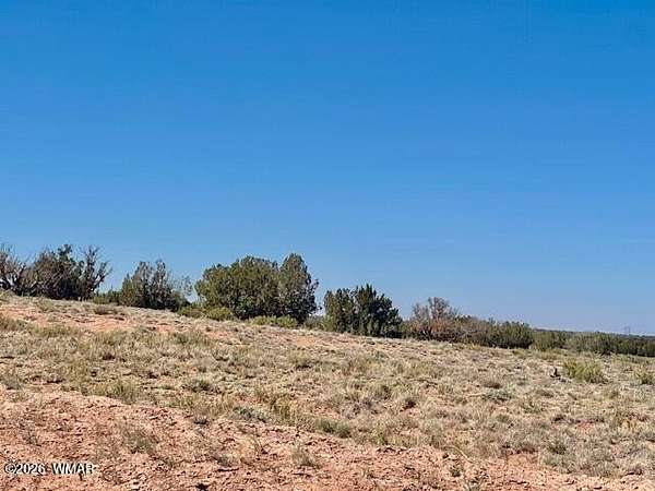 41 Acres of Recreational & Residential Land for Sale in Heber, Arizona