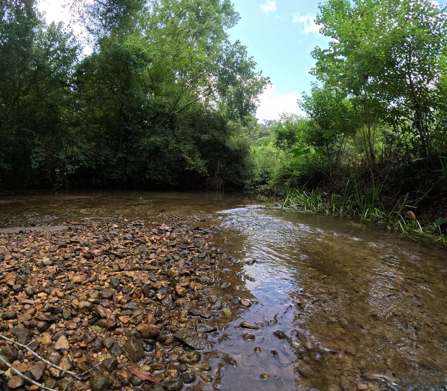 82 Acres of Land for Sale in Foxworth, Mississippi