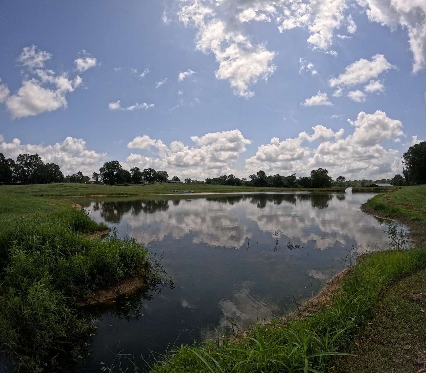 82 Acres of Land for Sale in Foxworth, Mississippi